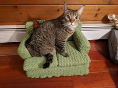 a cat sitting on top of a green chair in front of a wooden wall and floor