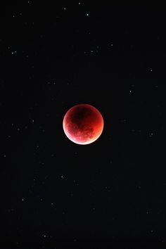 a blood moon is seen in the dark sky