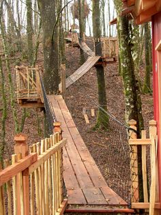 a wooden walkway in the woods with a rope bridge on it's side and trees around