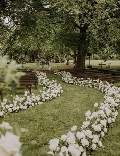 white flowers are in the middle of a grassy area with benches and trees behind it