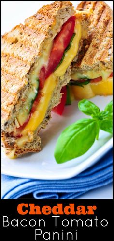 a grilled cheese and tomato sandwich is on a white plate with spinach leaves