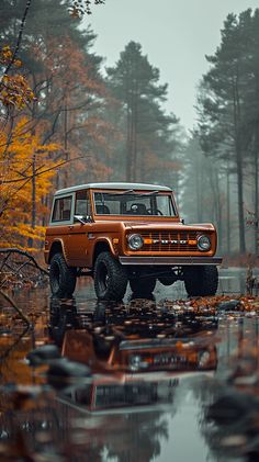 an orange jeep is parked in the middle of a puddle with trees and leaves around it