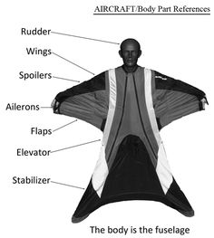 an image of the inside of a man's body with all its features labelled