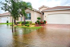 a flooded driveway in front of a house with palm trees and shrubs on the side