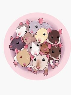 a bunch of mice sitting on top of a pink plate