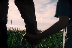 two people holding hands in the middle of a corn field