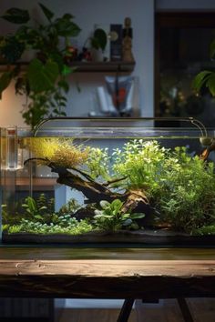 an aquarium filled with plants and rocks on top of a wooden table in front of a window