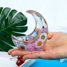 a hand holding a glass vase with flowers in it next to a green leafy plant