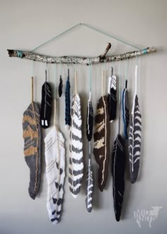 an assortment of feathers hanging on a wall