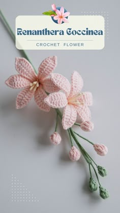 crochet flowers are displayed on a white surface with the words, reannahera occiinea