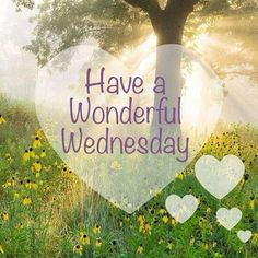 a heart shaped tree with the words have a wonderful wednesday written in front of it