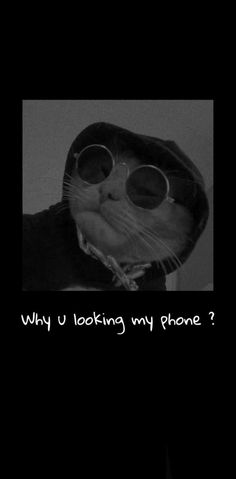 a black and white photo of a cat wearing glasses with the caption, why u looking my phone?