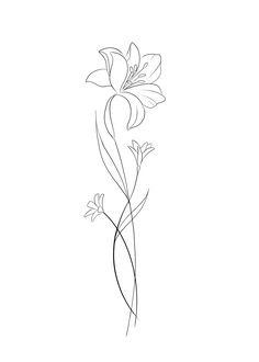 a line drawing of flowers on a white background