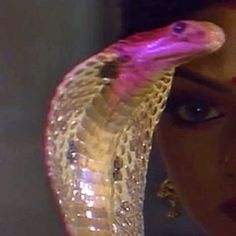 a woman holding a snake in front of her face