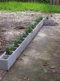 a concrete planter with plants growing in it