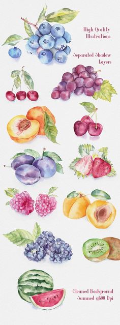 watercolor painting of fruits and vegetables on white paper with words describing the different types of fruit