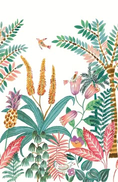 an illustration of tropical plants and birds