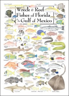 a poster with different types of fish on it