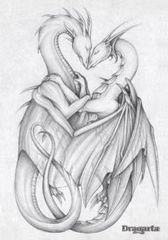 two dragon hugging each other in the shape of a heart