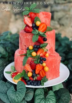 a watermelon cake with berries and mint leaves on top is displayed in front of greenery