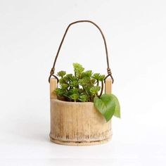 a small potted plant sitting on top of a white table