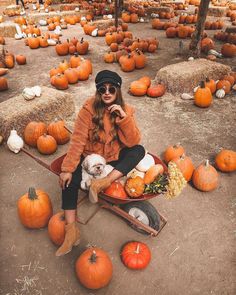 a woman sitting in a wheelbarrow surrounded by pumpkins and hay bales