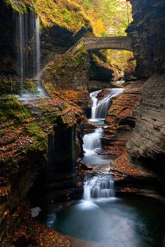 a waterfall in the middle of a forest with fall leaves on the ground and trees around it