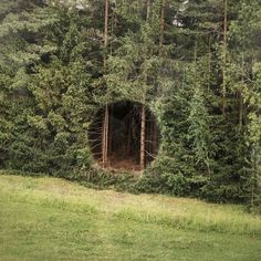 a forest filled with lots of green trees and tall thin trees next to a tunnel in the ground