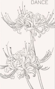 a drawing of flowers with the words, flower dance on it's back side