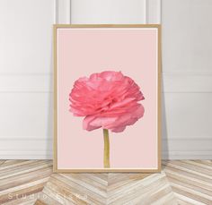 a pink flower is displayed in front of a white wall