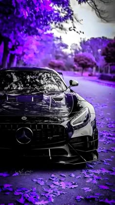 a black car parked on the side of a road next to purple leaves and trees