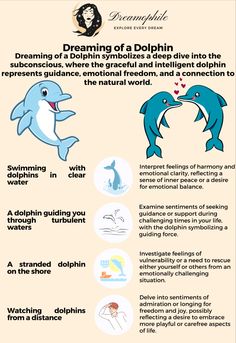 a poster with dolphins and other things to see in the ocean, including an info sheet