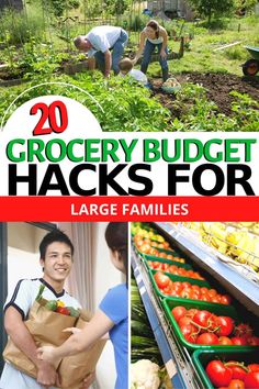 the cover of 20 grocery budget hacks for large families, including vegetables and fruits