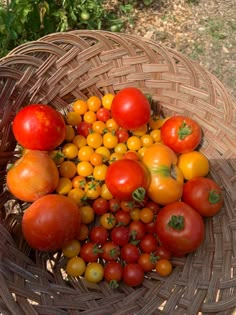 a basket filled with lots of different types of tomatoes