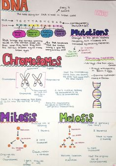 Dna Study Notes, Dna Notes Biology Aesthetic, Biology Revision Gcse Mitosis, Biology Dna Notes, A Level Biology Lipids, Structure Of Dna Notes, Crimeology Notes, Higher Human Biology Notes, Biology Notes Genetics