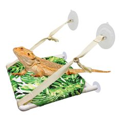 a lizard is sitting on top of a green and white blanket with two lights attached to it