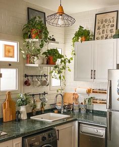 a kitchen with white cabinets and green plants on the shelves above the sink, along with a dishwasher