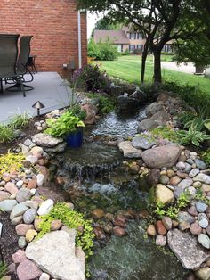 a small stream running through a lush green yard