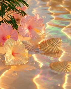 flowers and seashells are floating in the water with sunlight shining down on them