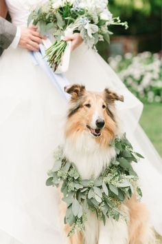 a dog is wearing a wreath around it's neck while standing next to a bride