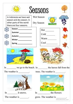 seasons worksheet with pictures and words to help students learn how to use them