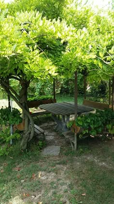 a wooden bench sitting under a tree covered in lots of green leaves and plants on the ground