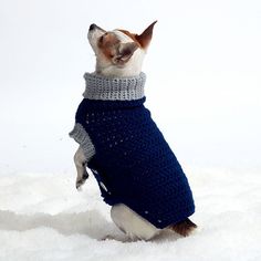 a small dog wearing a blue sweater in the snow with it's mouth open