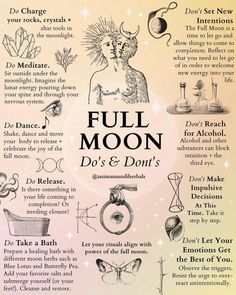 Modern Grimoire, Mystic Girl, Nervus Vagus, Pagan Magic, Moon Magick, Moon Rituals, Bubble Bubble, Spiritual Psychology