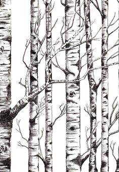 black and white drawing of trees with no leaves