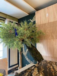 a tree that is sitting in the middle of a room with wood paneling on the walls