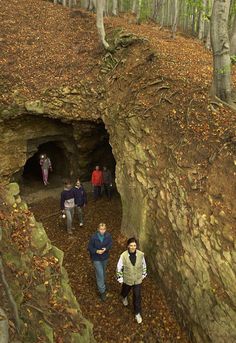 several people are walking through a cave in the woods