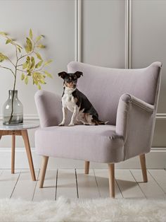 a dog sitting in a chair next to a table with a vase on top of it