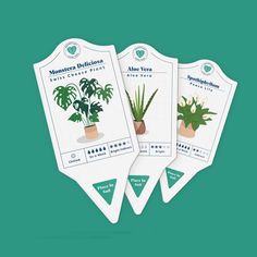 three plant identification tags with houseplants on them