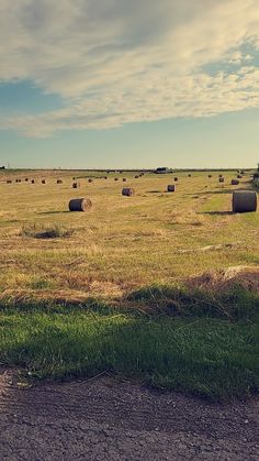 several bales of hay in an open field